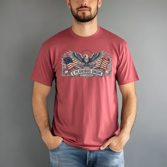 E Pluribus Unum Flag Red White Blue Tee | Comfort Colors Shirt